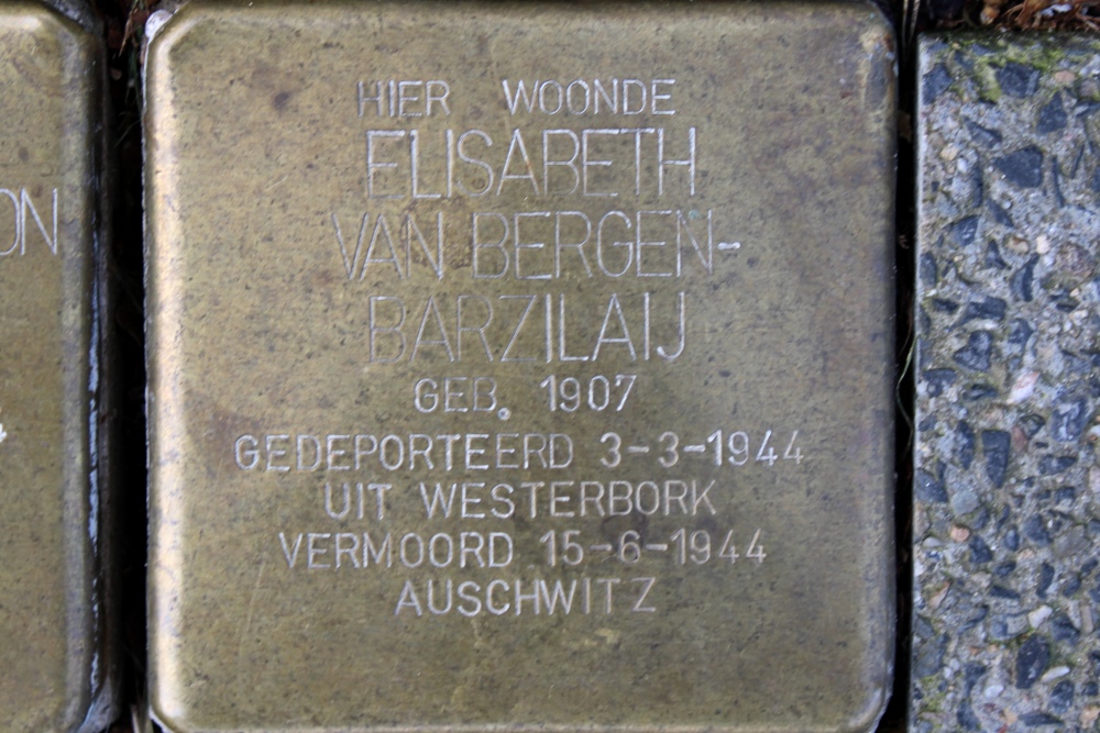 Stolpersteine Schapenkamp 188A #3