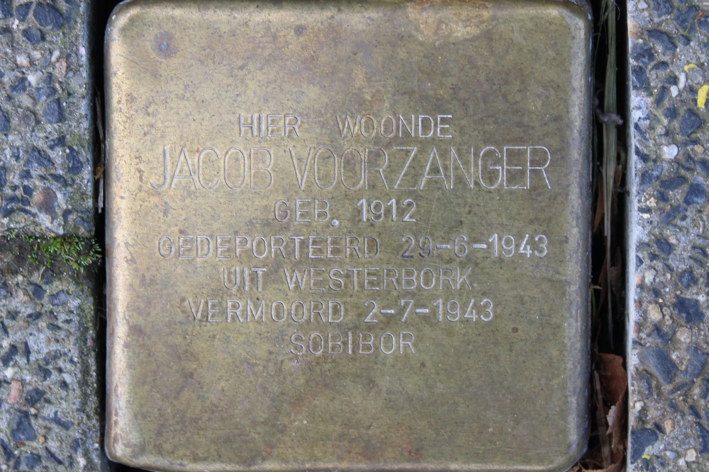 Stolpersteine Schapenkamp 188A #4