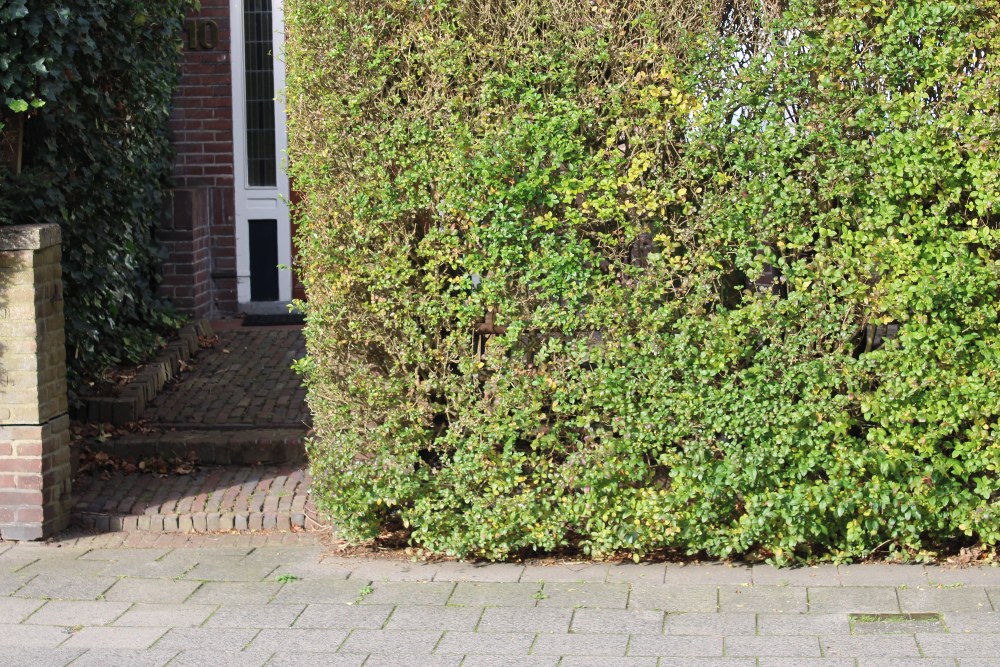 Stolpersteine Koningsstraat 10 #5