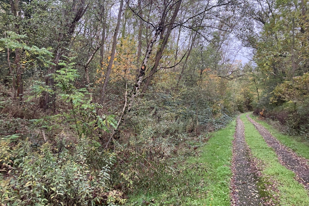 Memorial Forceds Laberours Lippendorf Neukieritzsch #5
