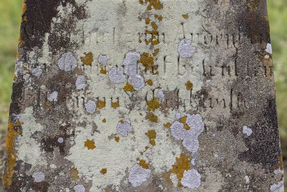 Grave of Bavarian Soldier Karl Betz #2