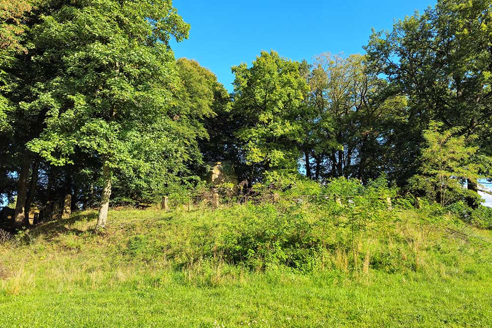 Kaiser Friedrich Park 