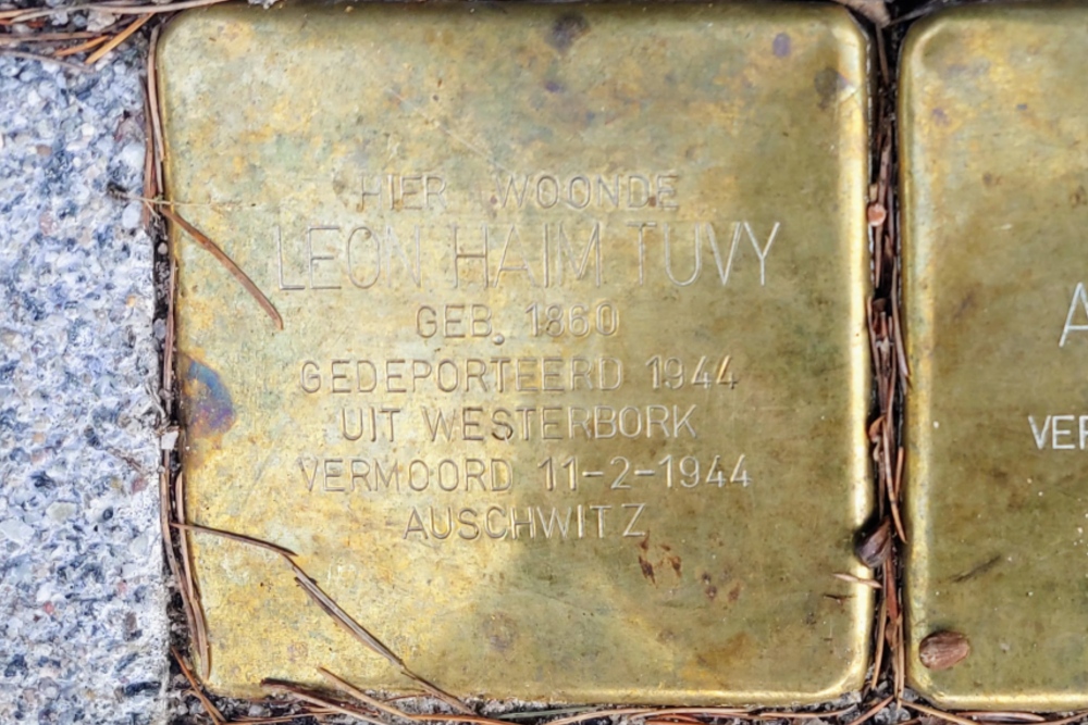 Stolpersteine Larikslaan 149 #2