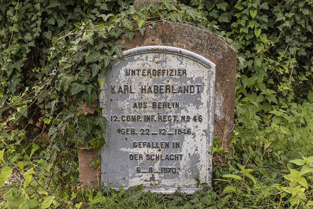 Grave of Karl Haberlandt #1