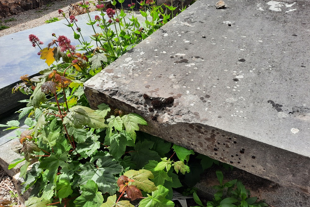 War damage Cemetery Cambes-En-Plaine #3