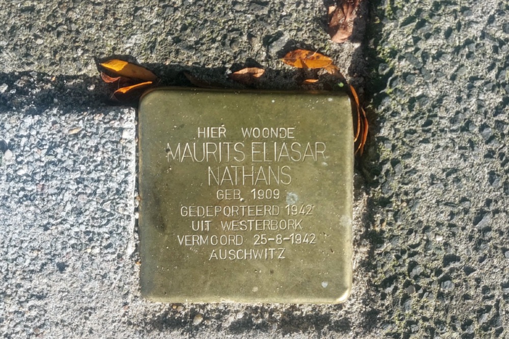 Stolperstein Larikslaan 197 #2