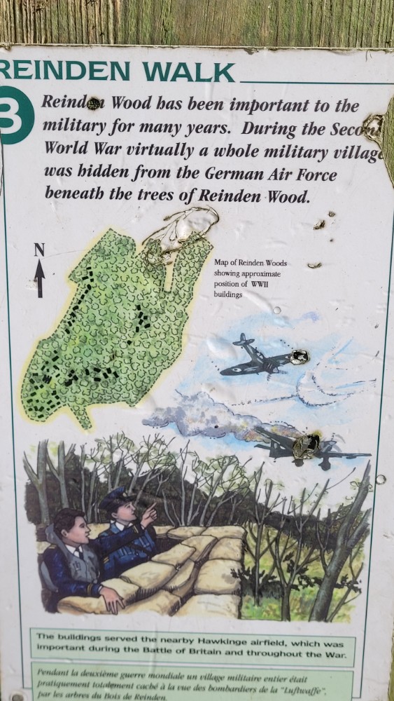 Reinden Woods, Hawkinge #2