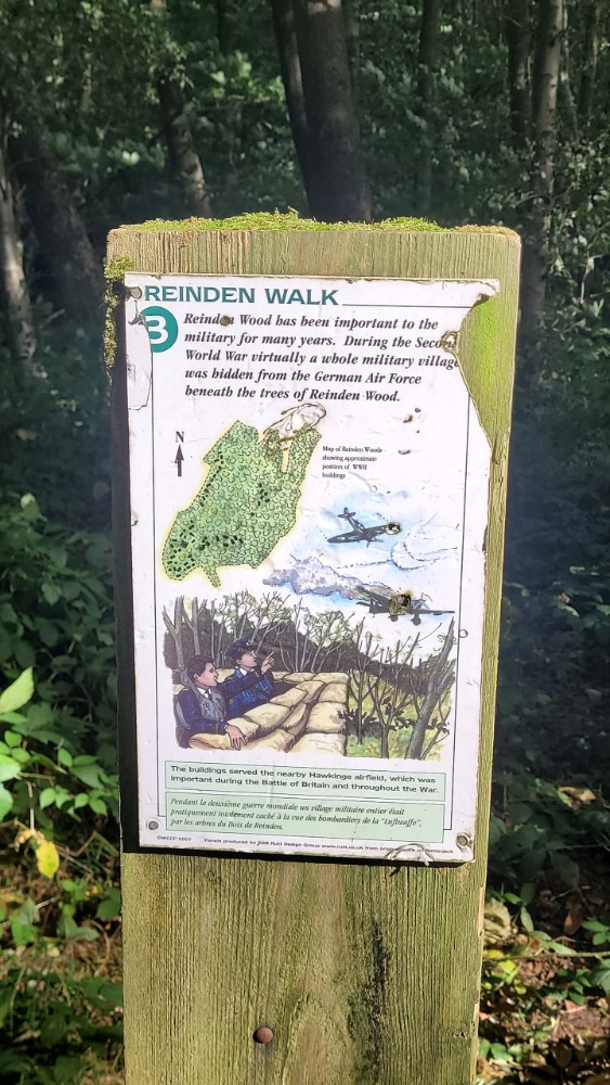 Reinden Woods, Hawkinge #3