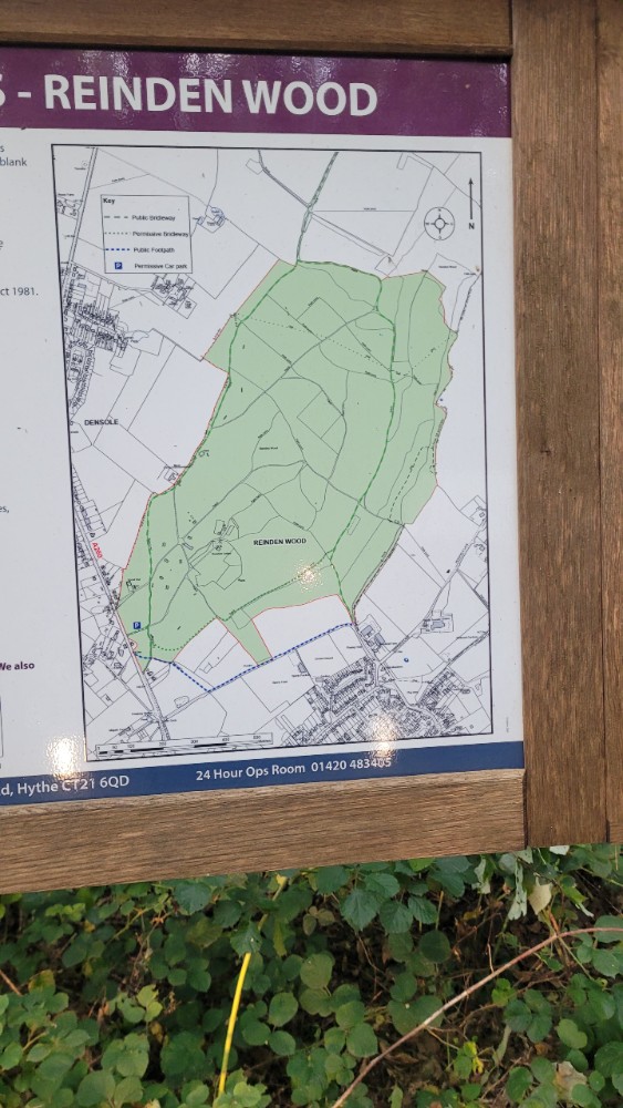 Reinden Woods, Hawkinge #4