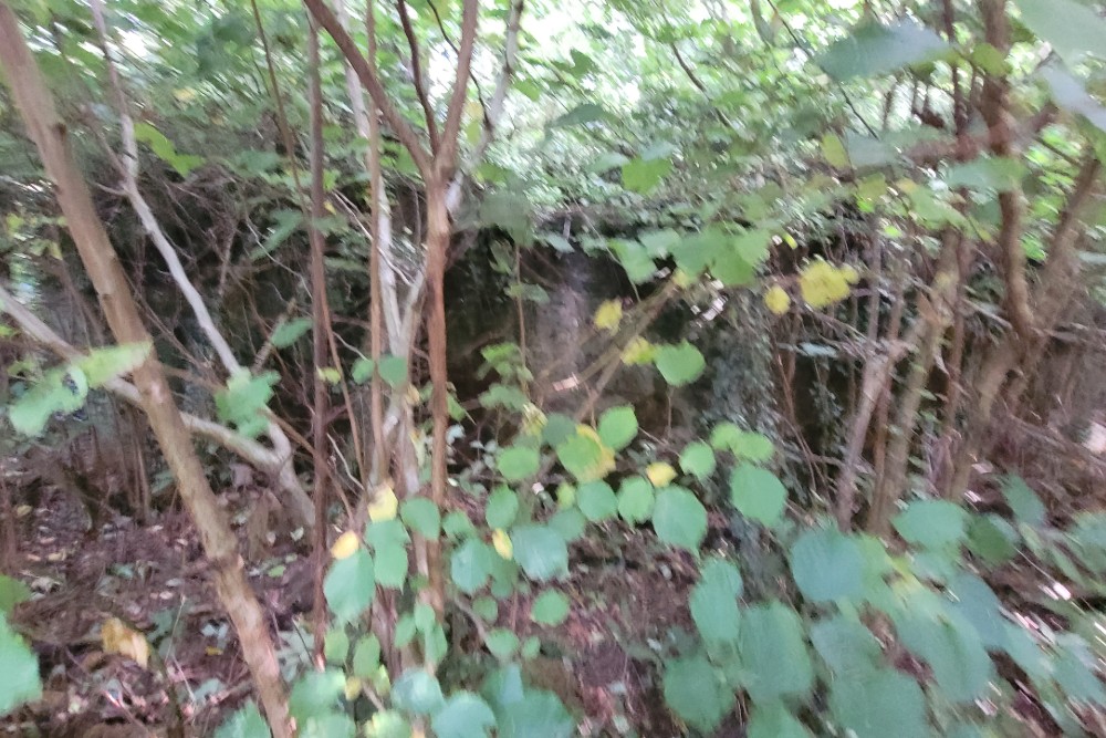 Luchtbeschermingsbunker 1, Reinden Wood #1