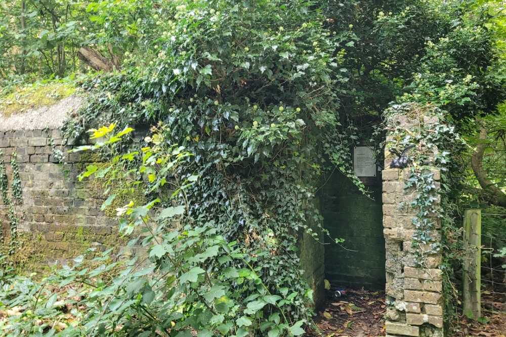 Luchtbeschermingsbunker 1, Reinden Wood #4