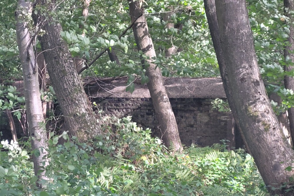 Luchtbeschermingsbunker 2, Reinden Wood #3