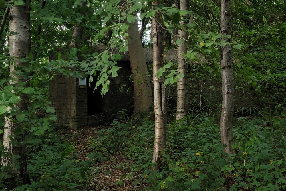 Luchtbeschermingsbunker 3, Reinden Wood #1