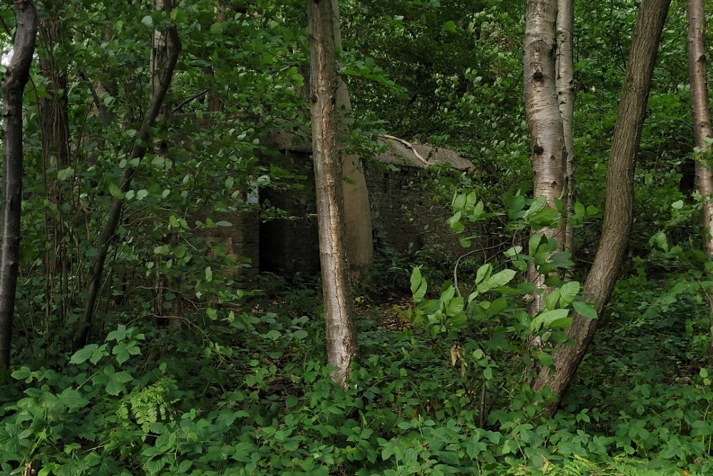 Luchtbeschermingsbunker 3, Reinden Wood #2