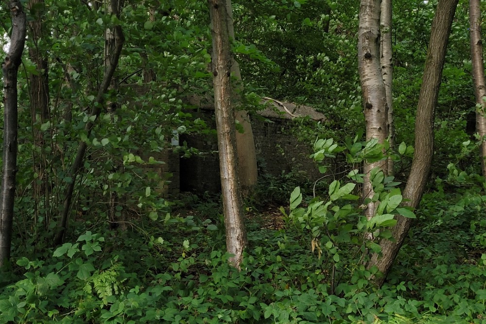 Luchtbeschermingsbunker 3, Reinden Wood #3
