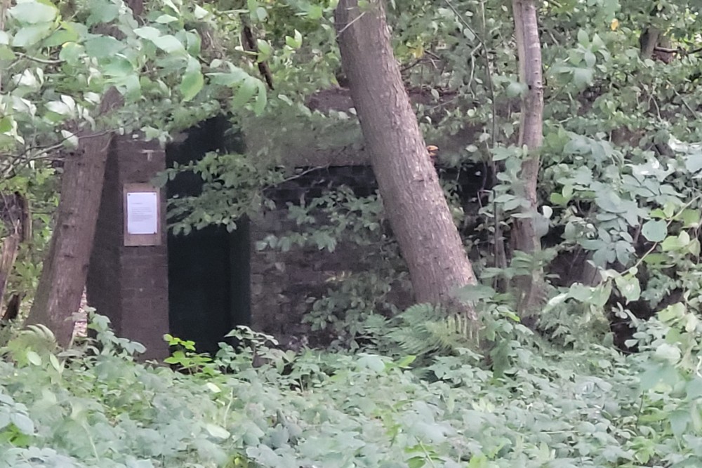 Air Raid Shelter 4, Reinden Wood