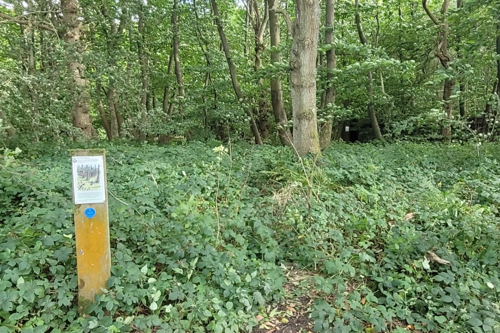 Luchtbeschermingsbunker 4, Reinden Wood #2
