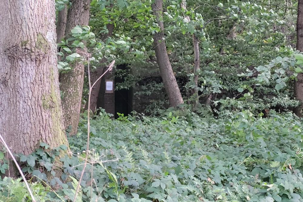 Luchtbeschermingsbunker 4, Reinden Wood #3