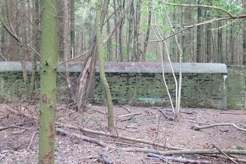 Air Raid Shelter 5, Reinden Wood