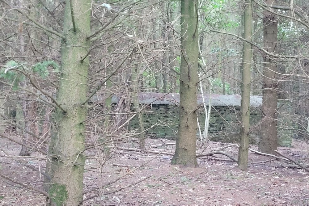 Luchtbeschermingsbunker 5, Reinden Wood #2