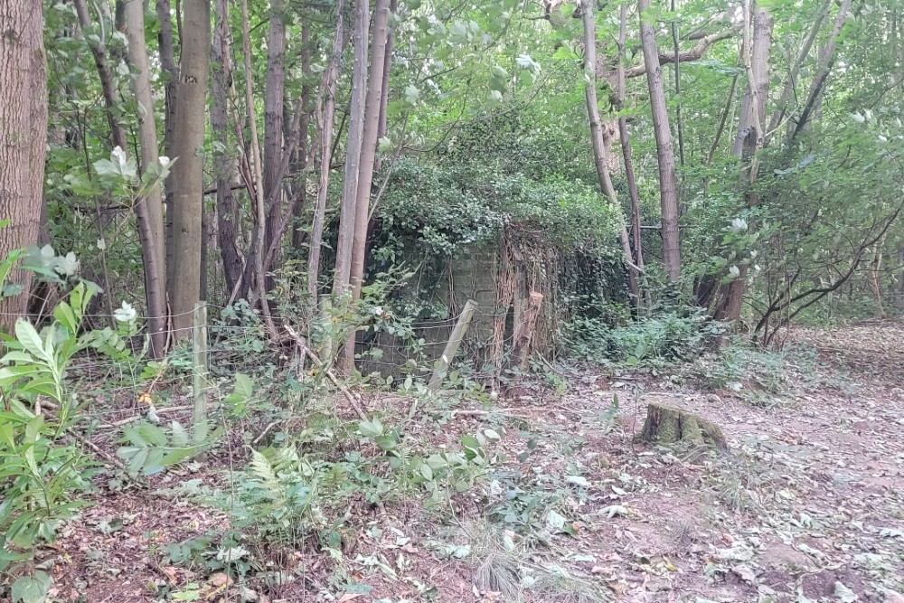 Luchtbeschermingsbunker 6, Reinden Wood #2