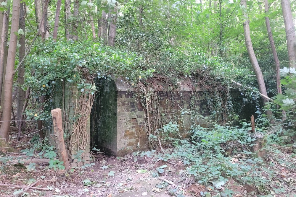 Luchtbeschermingsbunker 6, Reinden Wood #3