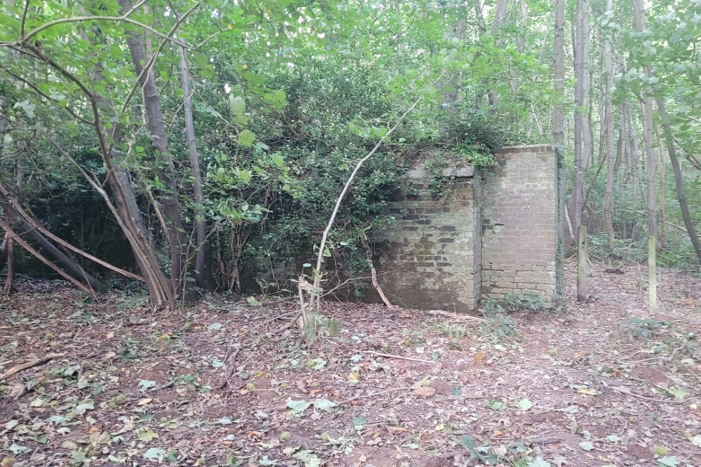 Luchtbeschermingsbunker 6, Reinden Wood #4