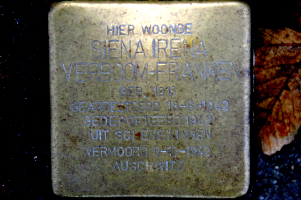 Stumbling Stone Teding van Berkhoutstraat 76 #1