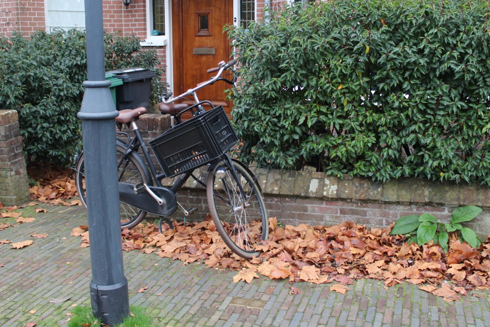 Stolpersteine Eindenhoutstraat 45 #4