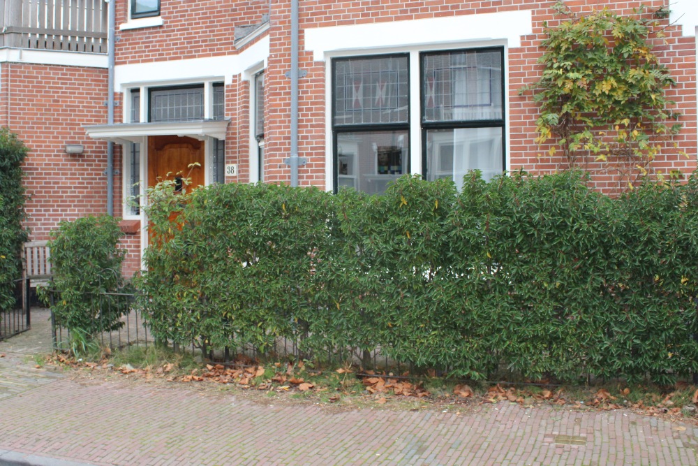 Stolpersteine Eindenhoutstraat 38 #6