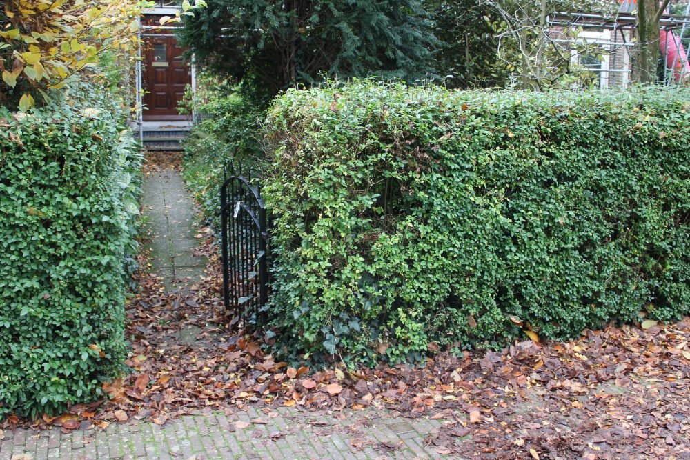 Stumbling Stone Jozef Israëlsweg 9 #2