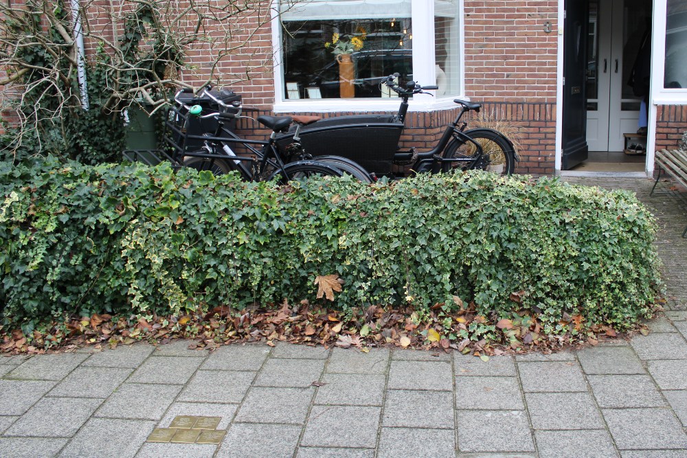 Stolpersteine Iepenstraat 3 #7
