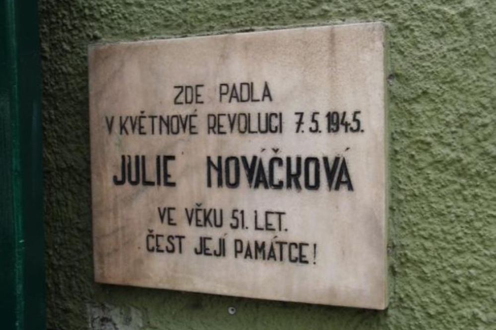 Plaque Julie Novackova #1
