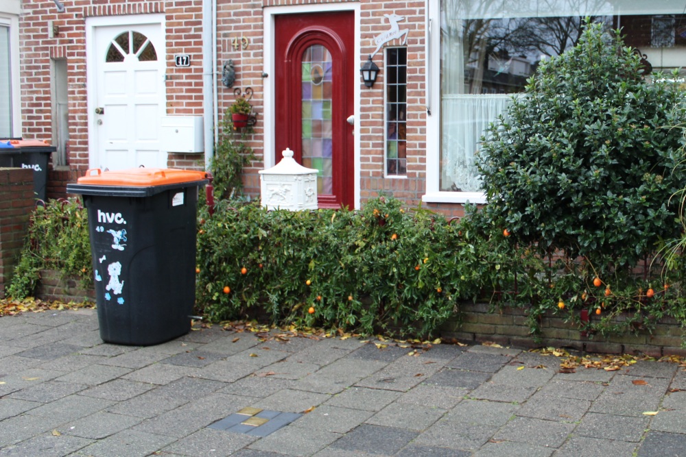 Stolpersteine Oosterduinweg 49 #4