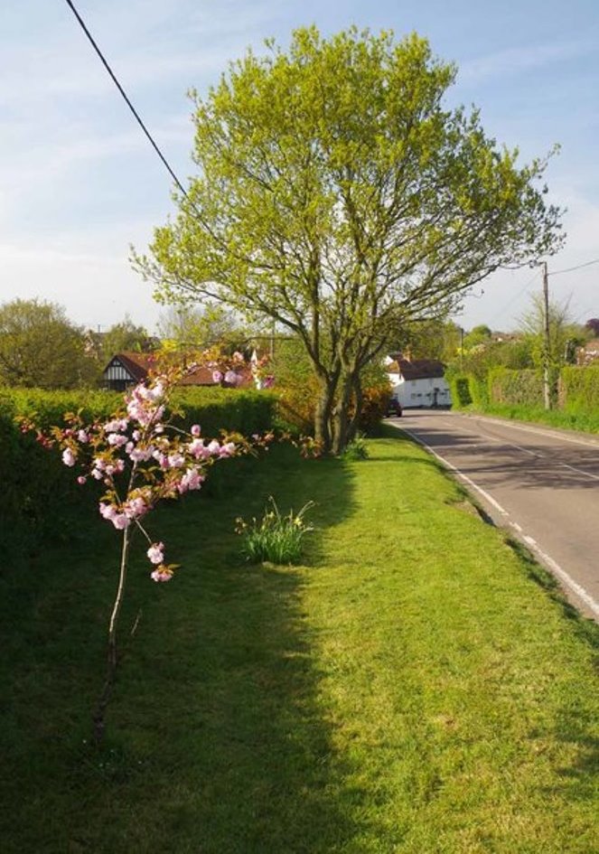 Memorial Garden Woodham Walter #1