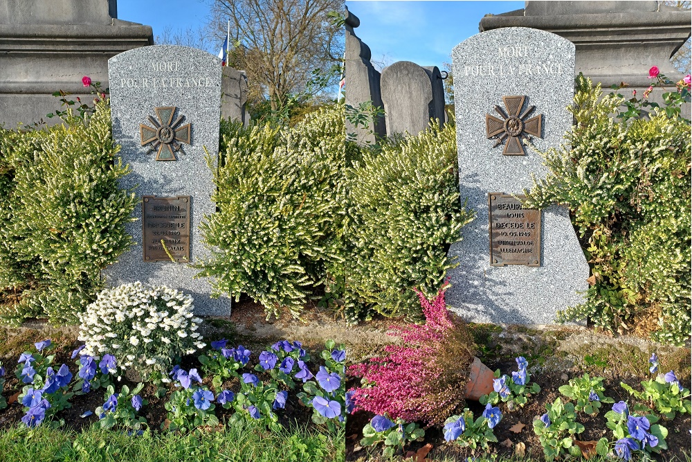 French Wargraves D’ Ascq #3