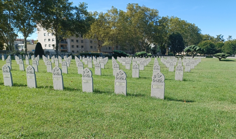 French Wargraves Villeurbanne #4