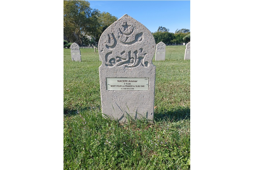 French Wargraves Villeurbanne #5