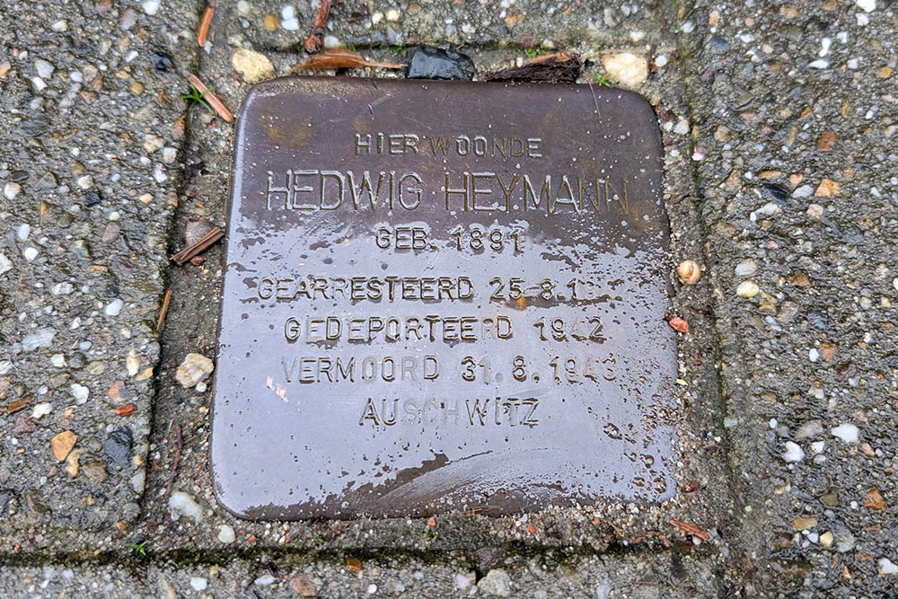 Stumbling Stone Hommerterweg 269 #1