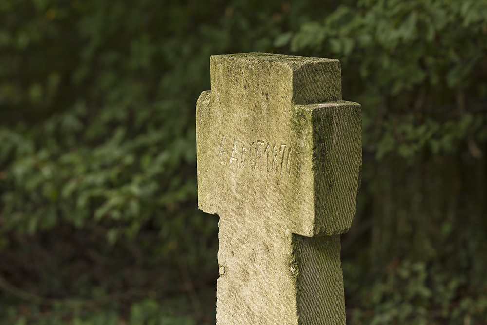 French-German Mass Graves at Wörther Hohl #2