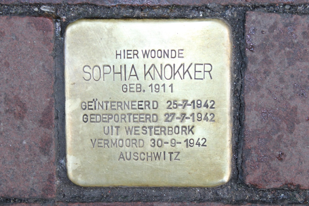 Stumbling Stone Lange Niezel 25 #1