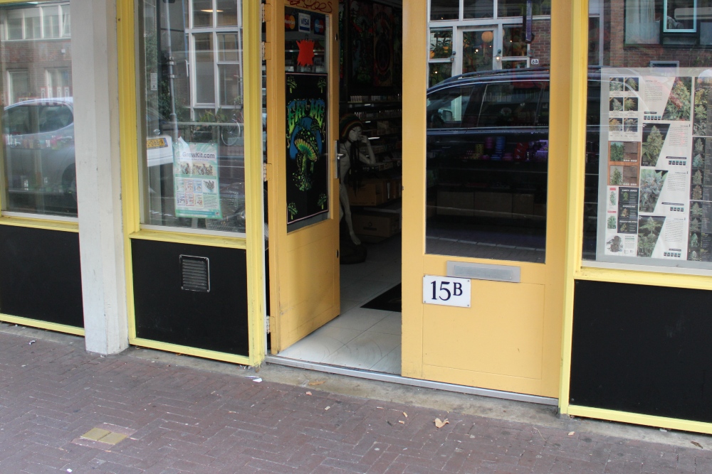 Stumbling Stones Sint Antoniesbreestraat 11 #4