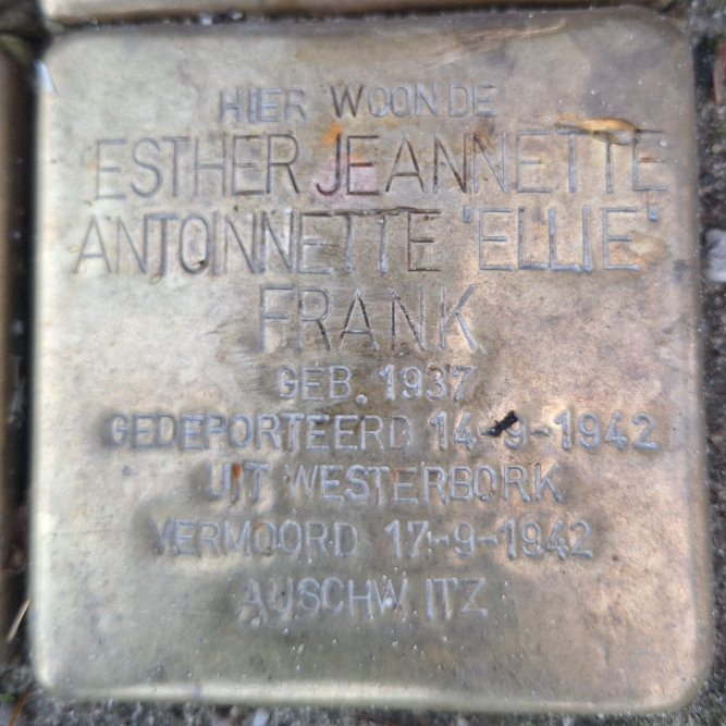 Stumbling Stones Dorpsstraat 6 #2