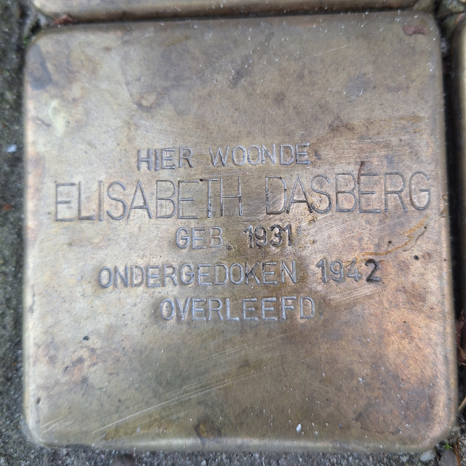 Stumbling Stones Dorpsstraat 6 #5