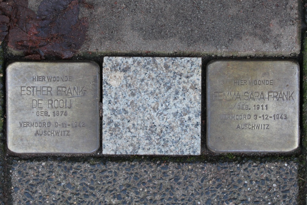 Stumbling Stones Plantage Kerklaan 20 #1