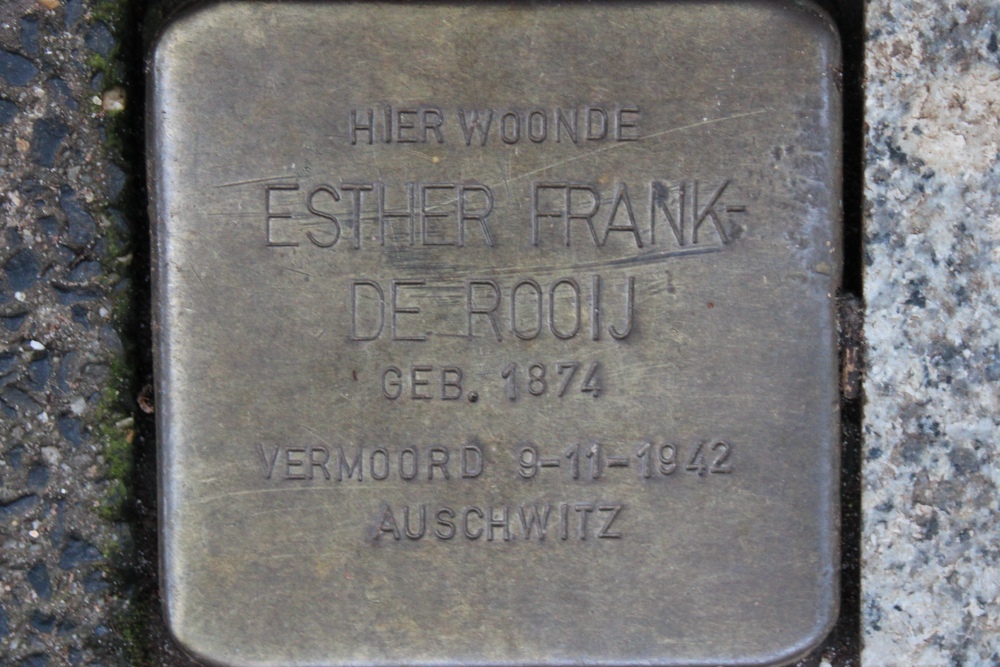 Stumbling Stones Plantage Kerklaan 20 #2