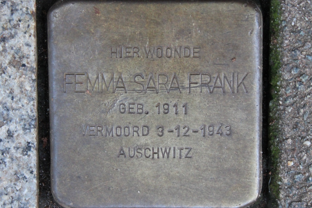 Stumbling Stones Plantage Kerklaan 20 #3