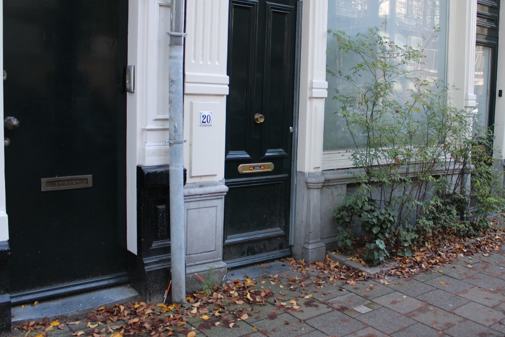 Stumbling Stones Plantage Kerklaan 20 #4