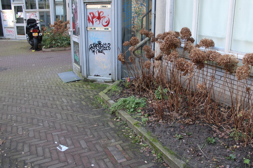 Stolpersteine Pentagon 37-41, voorheen Moddermolensteeg 8 II #5