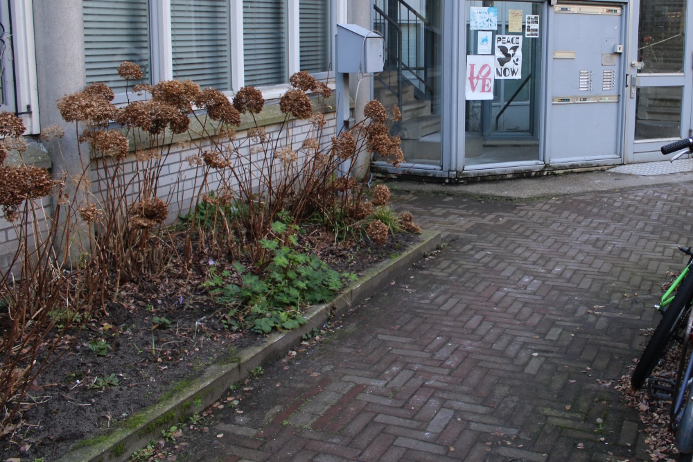 Stolpersteine Pentagon 47-59, voorheen Moddermolensteeg 2 hs #6